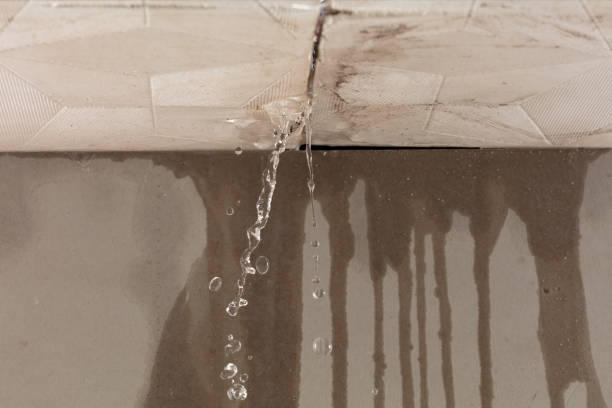 Professional Structural Drying technician working in Monroe Township, NJ